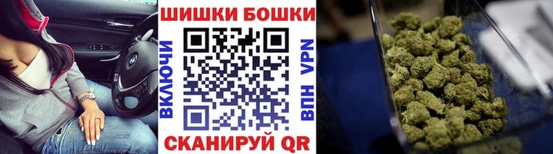где можно купить наркотик  ссылка на мегу зеркало  Бошки марихуана семена  Углич 